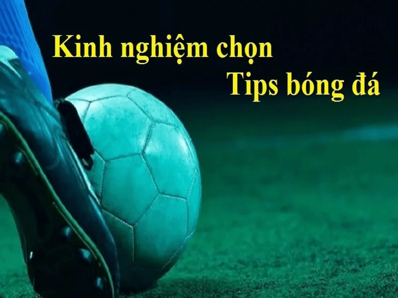 Tips bóng đá 1X2